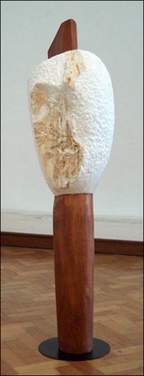 Escultor Daniel Silva